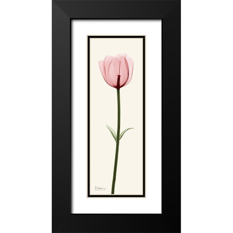 Standing Tall 2 Black Modern Wood Framed Art Print with Double Matting by Koetsier, Albert