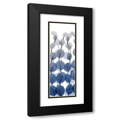 Sapphire Blooms On White 1 Black Modern Wood Framed Art Print with Double Matting by Koetsier, Albert