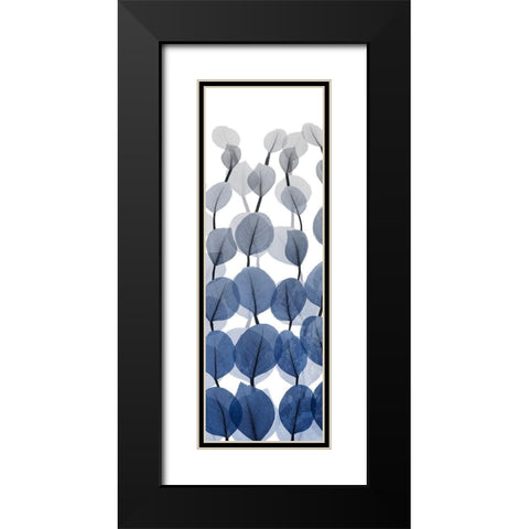 Sapphire Blooms On White 1 Black Modern Wood Framed Art Print with Double Matting by Koetsier, Albert