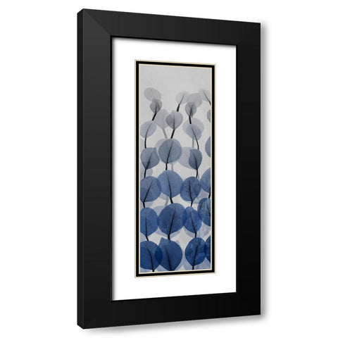 Sapphire Blooms 3 Black Modern Wood Framed Art Print with Double Matting by Koetsier, Albert