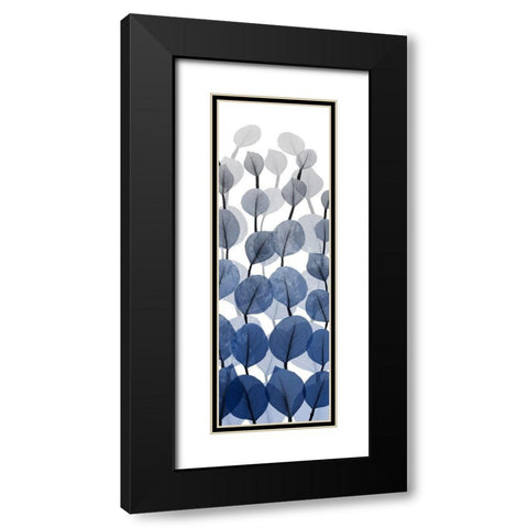Sapphire Blooms On White 2 Black Modern Wood Framed Art Print with Double Matting by Koetsier, Albert