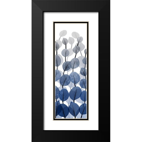 Sapphire Blooms On White 2 Black Modern Wood Framed Art Print with Double Matting by Koetsier, Albert