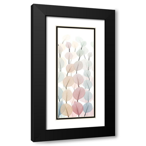 Sprouting Hues 1 Black Modern Wood Framed Art Print with Double Matting by Koetsier, Albert