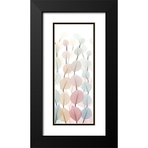 Sprouting Hues 1 Black Modern Wood Framed Art Print with Double Matting by Koetsier, Albert