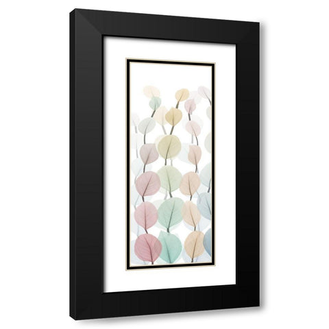 Sprouting Hues 2 Black Modern Wood Framed Art Print with Double Matting by Koetsier, Albert