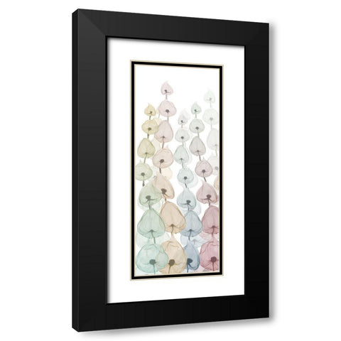 Sprouting Hues 4 Black Modern Wood Framed Art Print with Double Matting by Koetsier, Albert