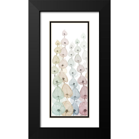 Sprouting Hues 4 Black Modern Wood Framed Art Print with Double Matting by Koetsier, Albert