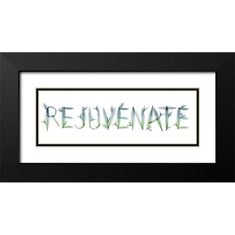 Rejuvenate Black Modern Wood Framed Art Print with Double Matting by Koetsier, Albert