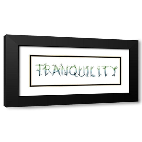 Tranquility Black Modern Wood Framed Art Print with Double Matting by Koetsier, Albert