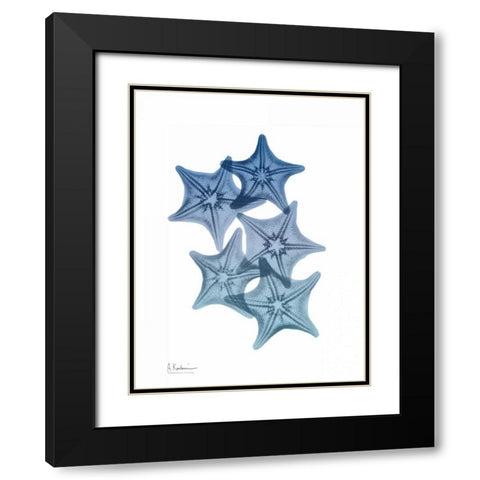 Tidal Starfish 1 Black Modern Wood Framed Art Print with Double Matting by Koetsier, Albert