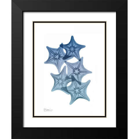 Tidal Starfish 1 Black Modern Wood Framed Art Print with Double Matting by Koetsier, Albert