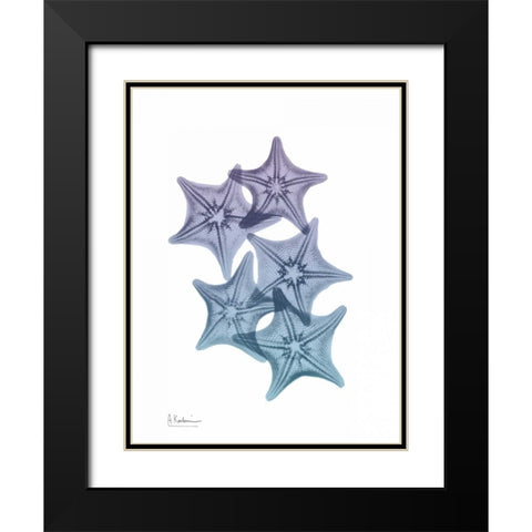 Lavender Splashed Starfish 1 Black Modern Wood Framed Art Print with Double Matting by Koetsier, Albert