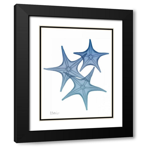 Tidal Starfish 2 Black Modern Wood Framed Art Print with Double Matting by Koetsier, Albert