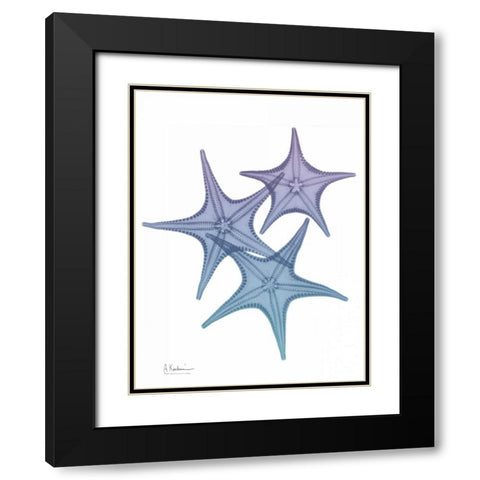 Lavender Splashed Starfish 2 Black Modern Wood Framed Art Print with Double Matting by Koetsier, Albert