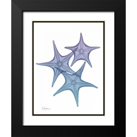 Lavender Splashed Starfish 2 Black Modern Wood Framed Art Print with Double Matting by Koetsier, Albert