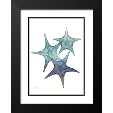 Starfish Ombre 2 Black Modern Wood Framed Art Print with Double Matting by Koetsier, Albert