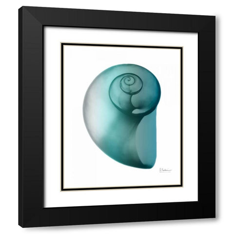 Water Snail 2 Black Modern Wood Framed Art Print with Double Matting by Koetsier, Albert