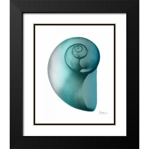 Water Snail 2 Black Modern Wood Framed Art Print with Double Matting by Koetsier, Albert