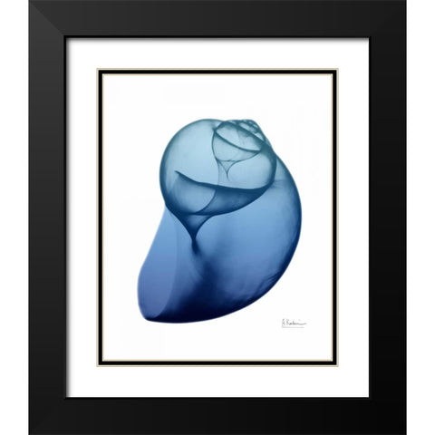 Scenic Water Snail 1 Black Modern Wood Framed Art Print with Double Matting by Koetsier, Albert