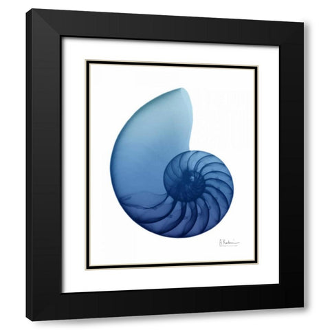 Scenic Water Snail 2 Black Modern Wood Framed Art Print with Double Matting by Koetsier, Albert