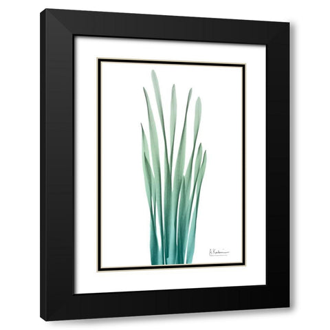 Radiant Hyacinth Leaf 2 Black Modern Wood Framed Art Print with Double Matting by Koetsier, Albert