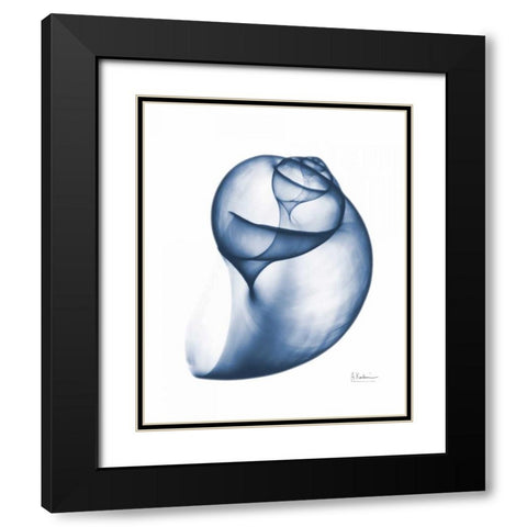 Indigo Water Snail Black Modern Wood Framed Art Print with Double Matting by Koetsier, Albert