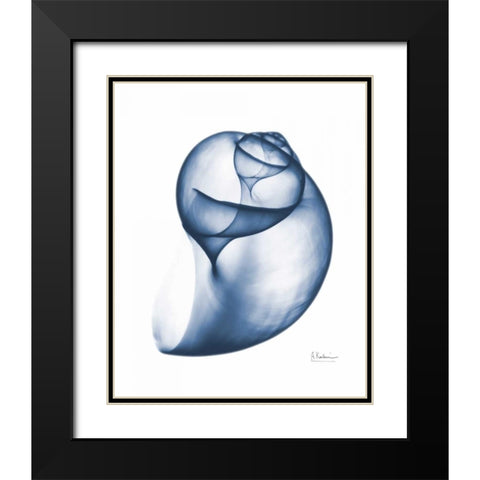 Indigo Water Snail Black Modern Wood Framed Art Print with Double Matting by Koetsier, Albert