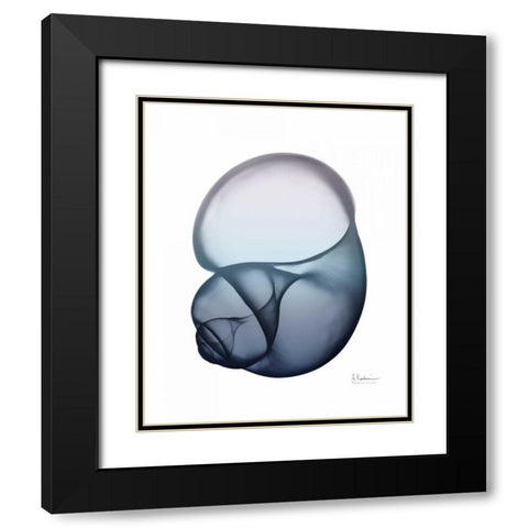 Lavender Snail 1 Black Modern Wood Framed Art Print with Double Matting by Koetsier, Albert