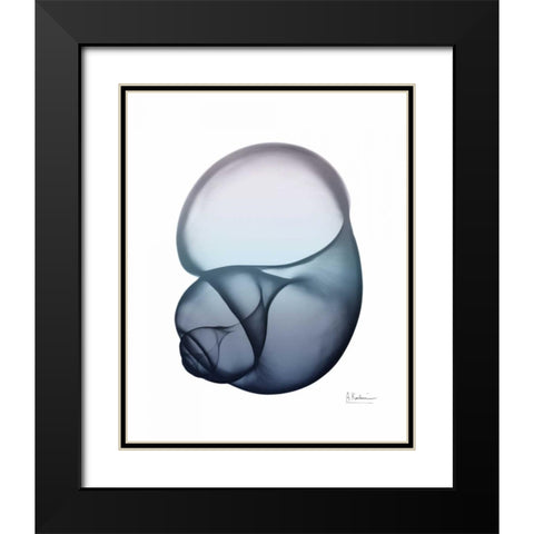 Lavender Snail 1 Black Modern Wood Framed Art Print with Double Matting by Koetsier, Albert