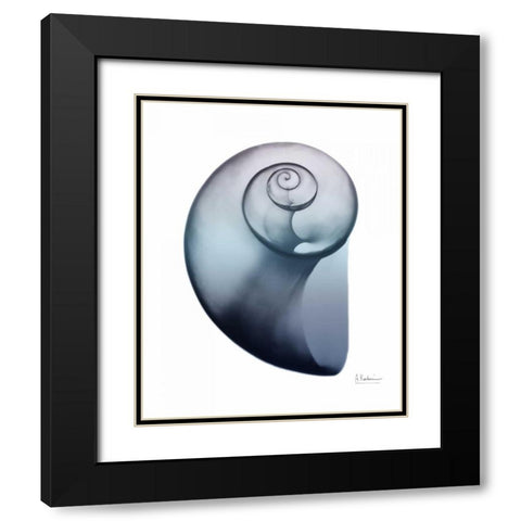 Lavender Snail 2 Black Modern Wood Framed Art Print with Double Matting by Koetsier, Albert