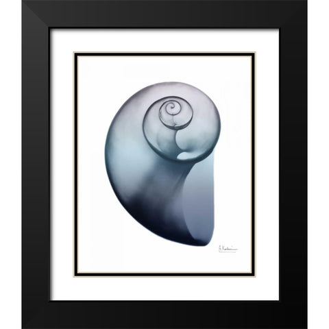 Lavender Snail 2 Black Modern Wood Framed Art Print with Double Matting by Koetsier, Albert