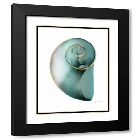 Shimmering Snail 2 Black Modern Wood Framed Art Print with Double Matting by Koetsier, Albert