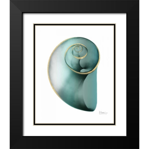 Shimmering Snail 2 Black Modern Wood Framed Art Print with Double Matting by Koetsier, Albert