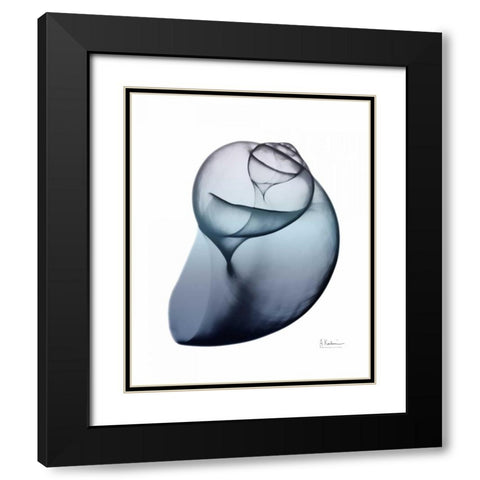 Lavender Snail 3 Black Modern Wood Framed Art Print with Double Matting by Koetsier, Albert