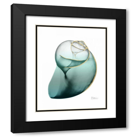 Shimmering Snail 3 Black Modern Wood Framed Art Print with Double Matting by Koetsier, Albert