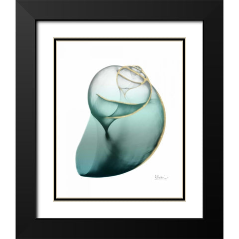 Shimmering Snail 3 Black Modern Wood Framed Art Print with Double Matting by Koetsier, Albert