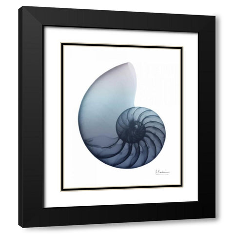 Lavender Snail 4 Black Modern Wood Framed Art Print with Double Matting by Koetsier, Albert