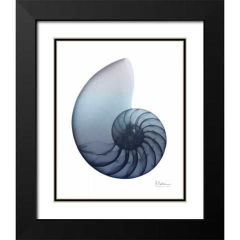 Lavender Snail 4 Black Modern Wood Framed Art Print with Double Matting by Koetsier, Albert