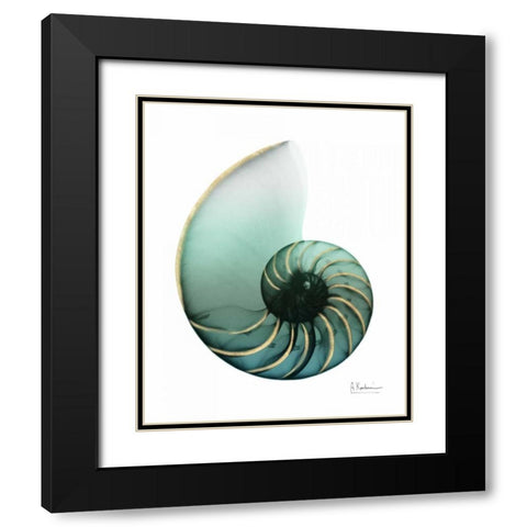 Shimmering Snail 4 Black Modern Wood Framed Art Print with Double Matting by Koetsier, Albert