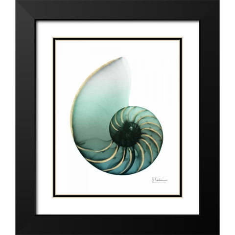 Shimmering Snail 4 Black Modern Wood Framed Art Print with Double Matting by Koetsier, Albert