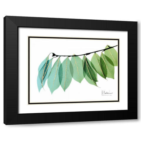 Golden Camelia Leaf Black Modern Wood Framed Art Print with Double Matting by Koetsier, Albert