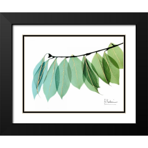 Golden Camelia Leaf Black Modern Wood Framed Art Print with Double Matting by Koetsier, Albert