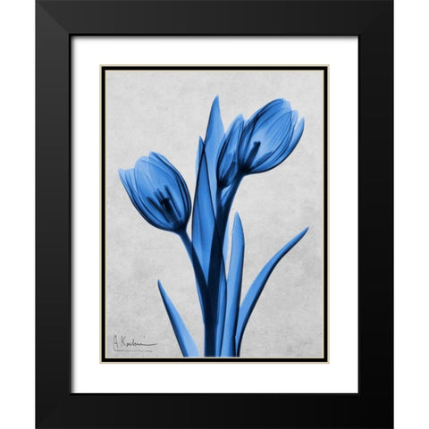 Midnight Tulips Black Modern Wood Framed Art Print with Double Matting by Koetsier, Albert