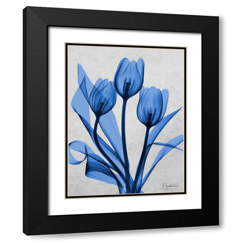 Midnight Tulips 2 Black Modern Wood Framed Art Print with Double Matting by Koetsier, Albert