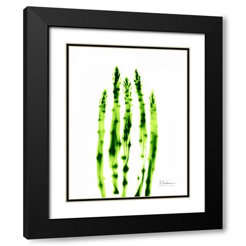 Asparagus Stock Black Modern Wood Framed Art Print with Double Matting by Koetsier, Albert