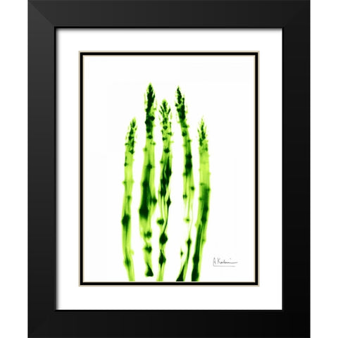 Asparagus Stock Black Modern Wood Framed Art Print with Double Matting by Koetsier, Albert