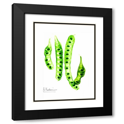 Carob Formation Black Modern Wood Framed Art Print with Double Matting by Koetsier, Albert