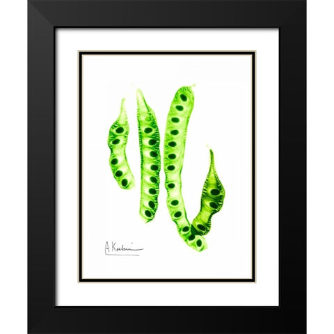 Carob Formation Black Modern Wood Framed Art Print with Double Matting by Koetsier, Albert