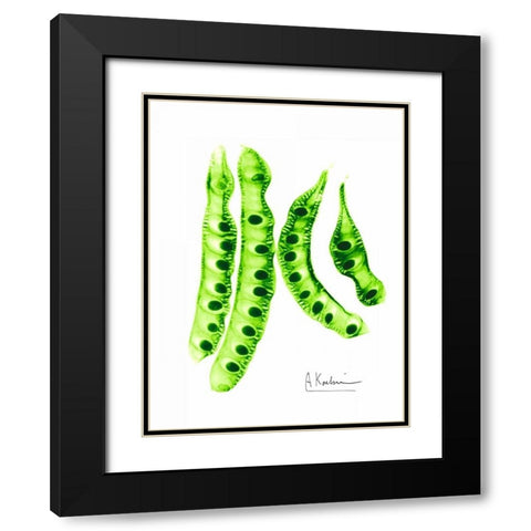 Carob Formation 2 Black Modern Wood Framed Art Print with Double Matting by Koetsier, Albert