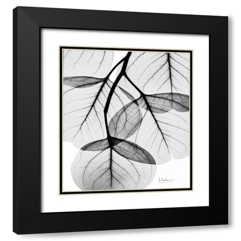 Silver Age Eucalyptus Black Modern Wood Framed Art Print with Double Matting by Koetsier, Albert